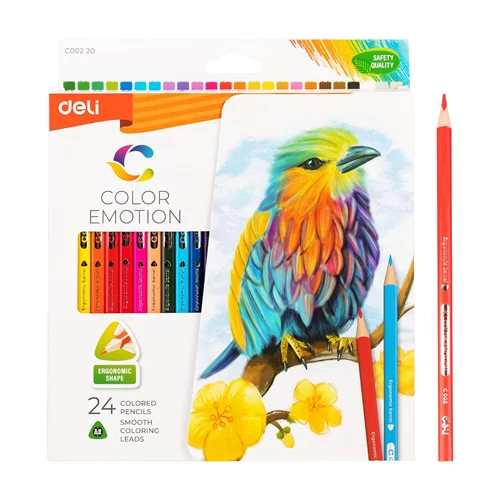 مداد رنگی 24 رنگ دلی جعبه مقوایی